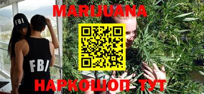 гидропоника Можга