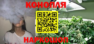 гидропоника Можга