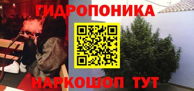 гидропоника Можга