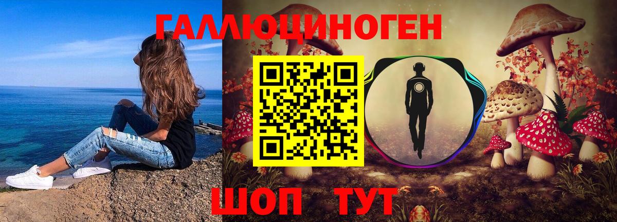 Галлюциногенные грибы Psilocybine cubensis  Вход с VPN  Фурманов 